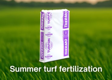 fertilizer for summer lawn care and drought resistance