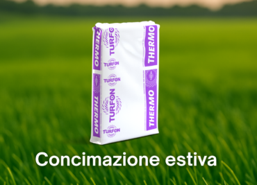 Concimazione estiva tappeto erboso